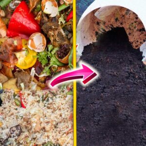 Bio Composter<br /> <span class="premium-woo-product-subtitle">Compost Accelerator</span>