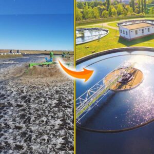 COD Controller<br /> <span class="premium-woo-product-subtitle">Reduce the Chemical Oxygen Levels in Waste Water Treatment Plants.</span>